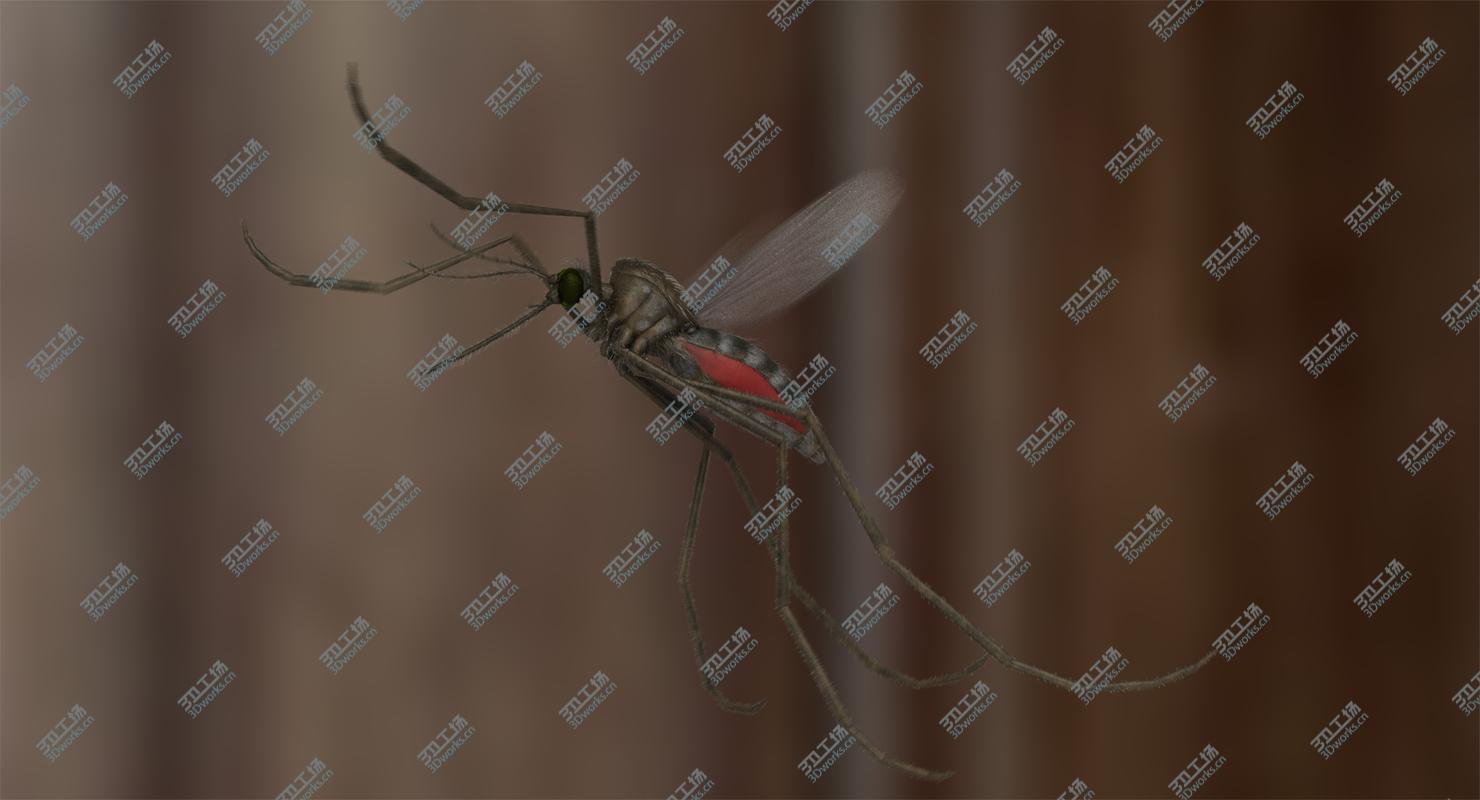 images/goods_img/202104091/3D model Mosquito Common House (Animated)/1.jpg